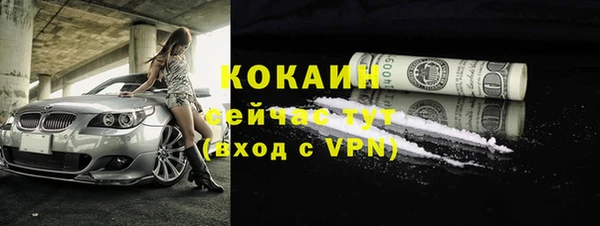 спайс Алексин