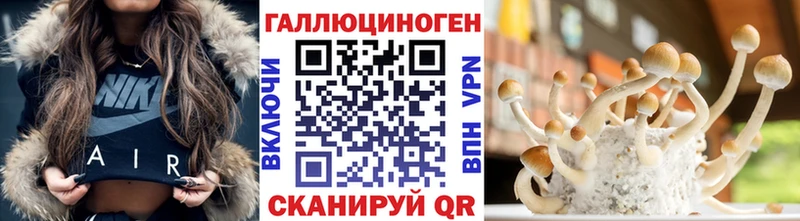 Галлюциногенные грибы Psilocybine cubensis  Жуковский 