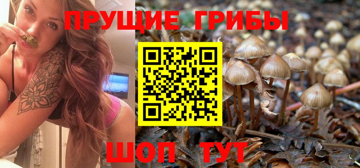 Псилоцибиновые грибы Cubensis  Вход с VPN  продажа наркотиков  Жуковский 