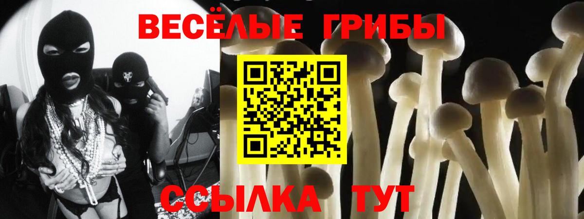 Псилоцибиновые грибы GOLDEN TEACHER Жуковский